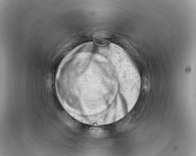 X0000091090519200709041305
