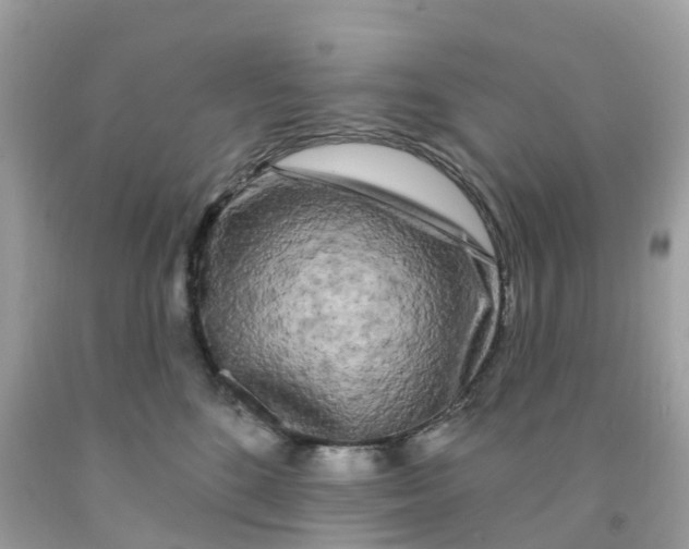 X0000091090520200709041305