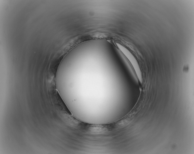 X0000091090521200709041305