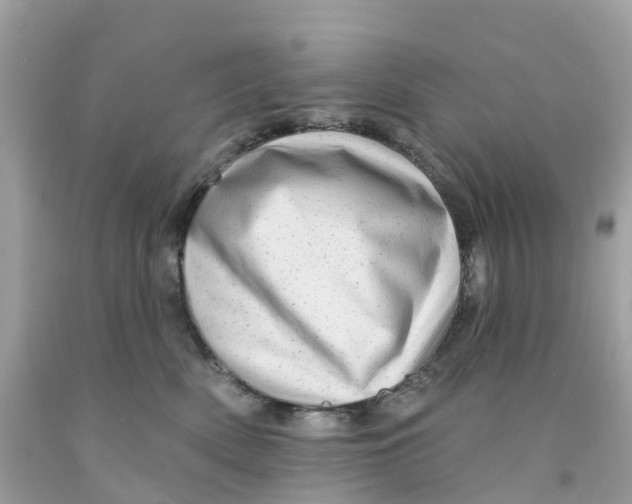 X0000091090522200709041305