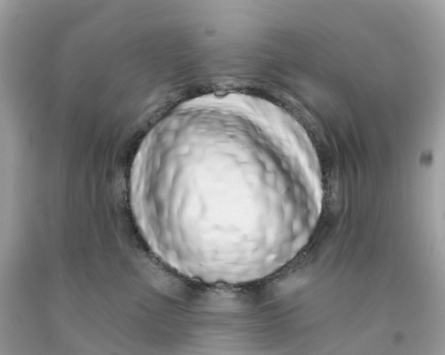 X0000091090523200709041305