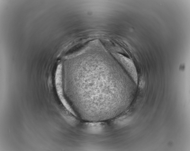 X0000091090524200709041305