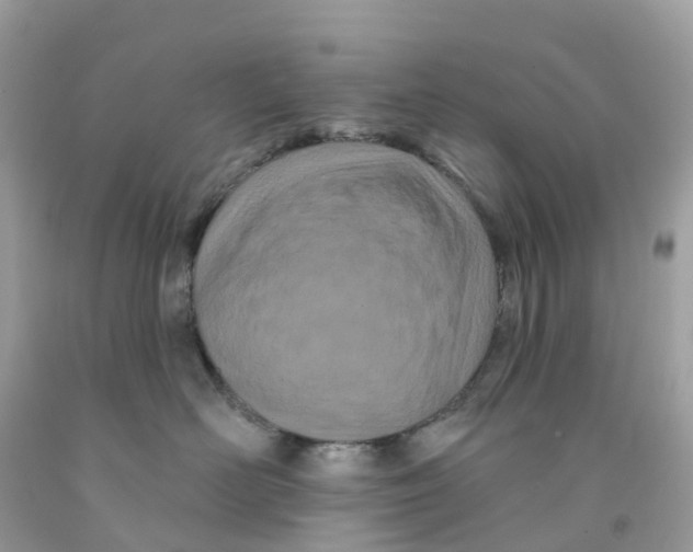 X0000091090526200709041305
