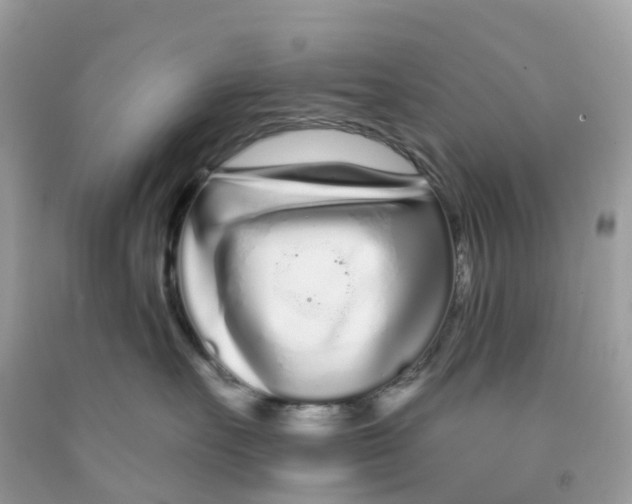 X0000091090527200709041305
