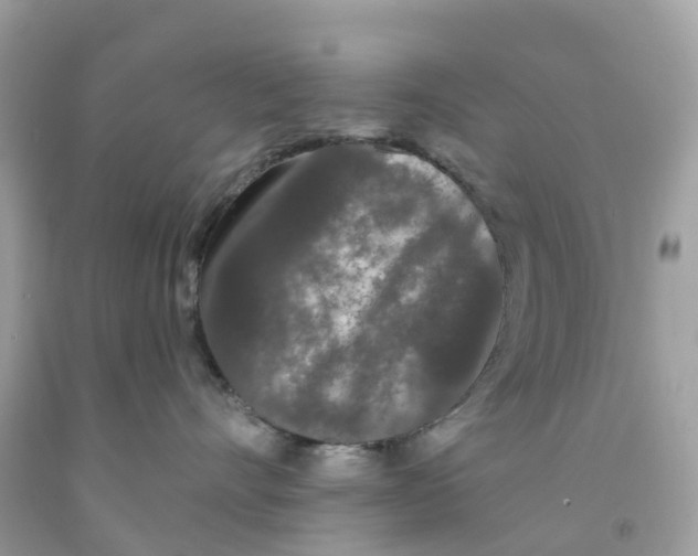 X0000091090528200709041305