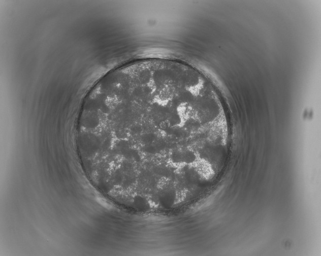 X0000091090529200709041304