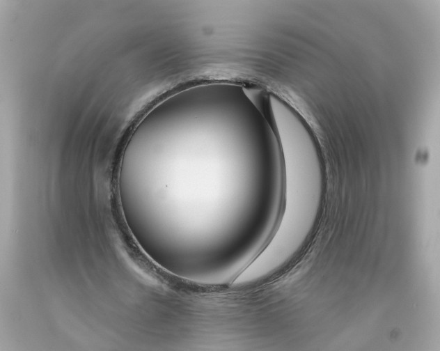 X0000091090530200709041304