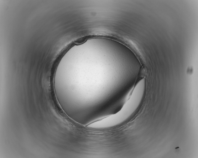 X0000091090531200709041304