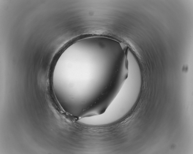 X0000091090532200709041304