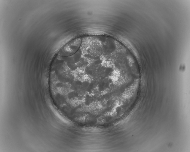 X0000091090533200709041304