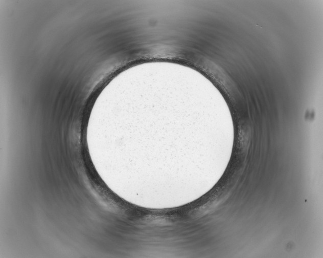 X0000091090534200709041304