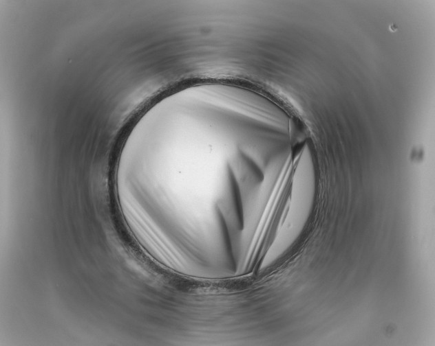 X0000091090535200709041304