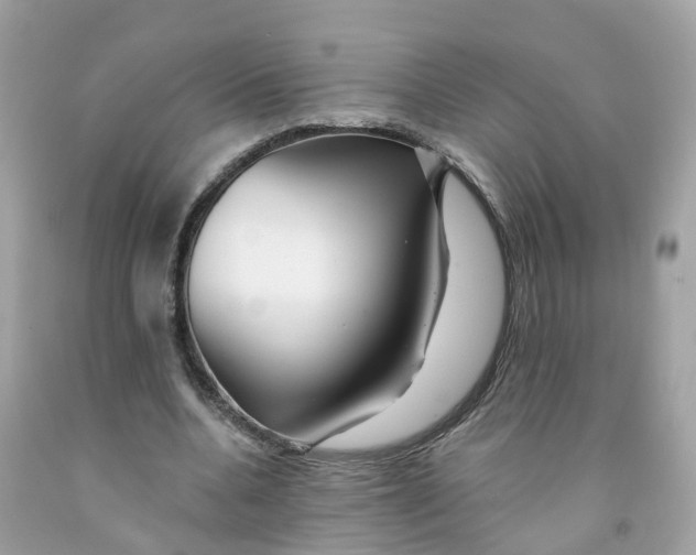 X0000091090536200709041304