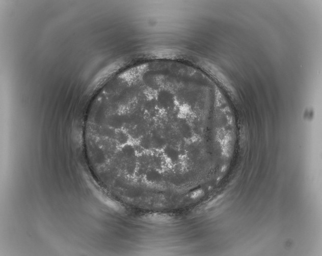 X0000091090537200709041304
