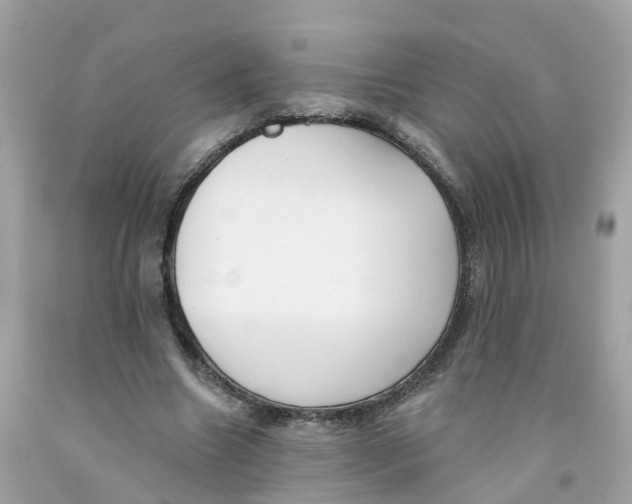 X0000091090538200709041304