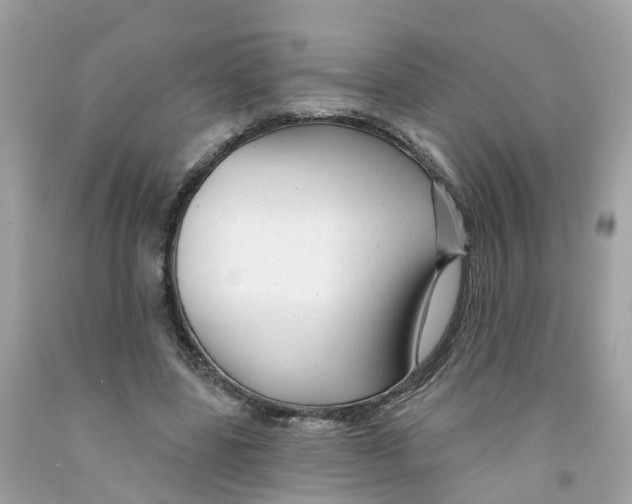 X0000091090539200709041304