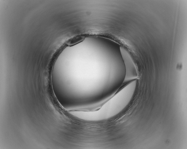 X0000091090540200709041304