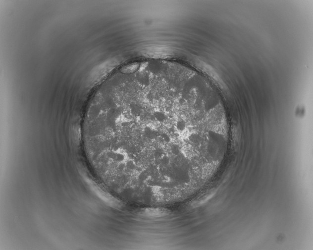 X0000091090541200709041304