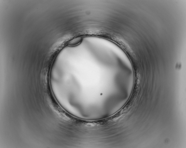 X0000091090542200709041304