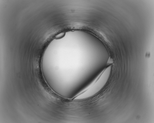 X0000091090543200709041304