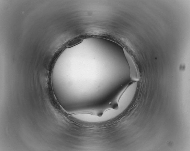 X0000091090544200709041304