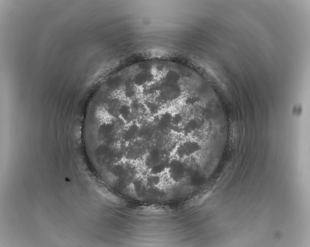 X0000091090545200709041304
