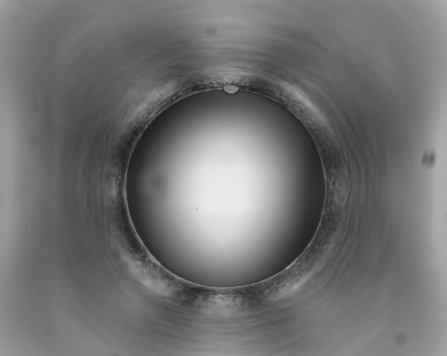 X0000091090546200709041304