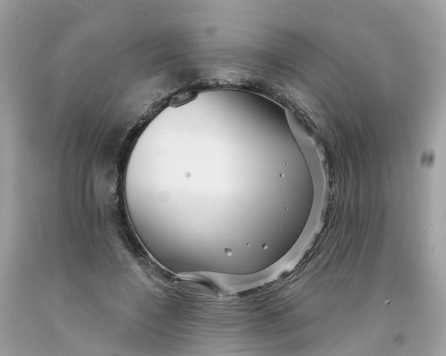X0000091090548200709041304