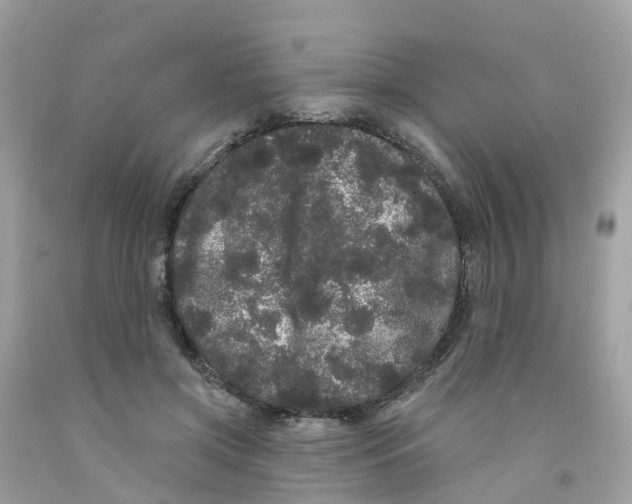 X0000091090549200709041304