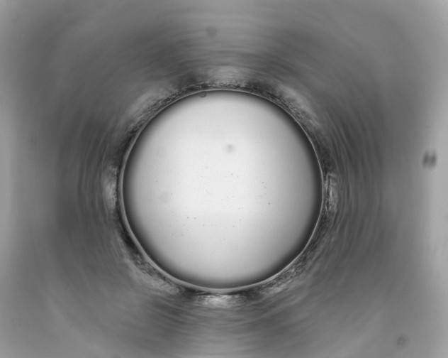 X0000091090550200709041304