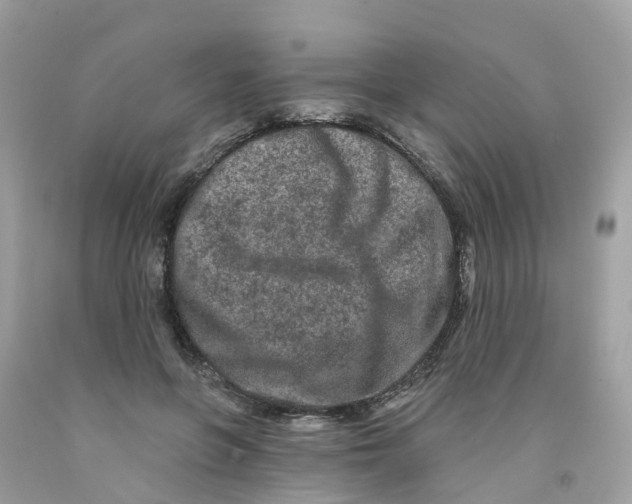 X0000091090551200709041304