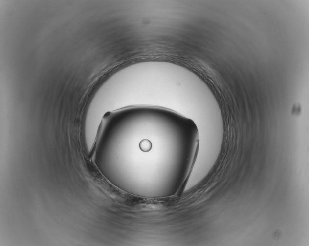 X0000091090552200709041304