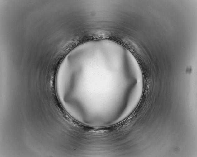 X0000091090553200709041304