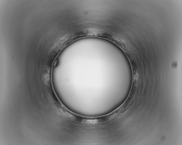 X0000091090554200709041304