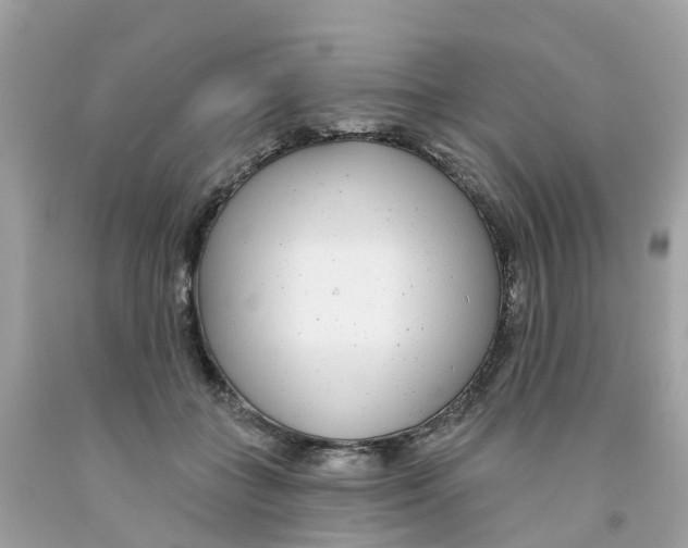 X0000091090555200709041304