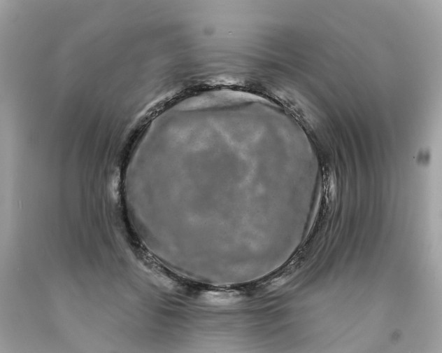 X0000091090556200709041304