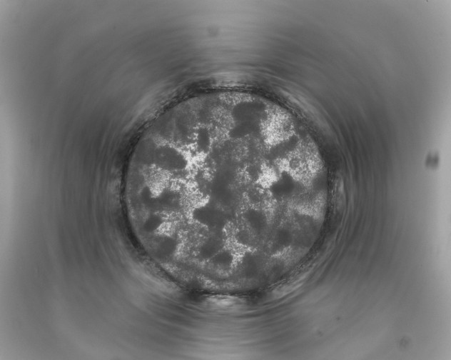 X0000091090557200709041304