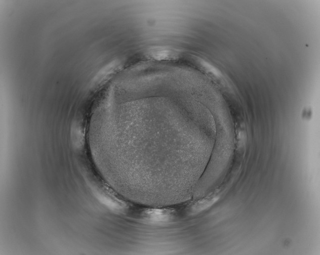 X0000091090558200709041304