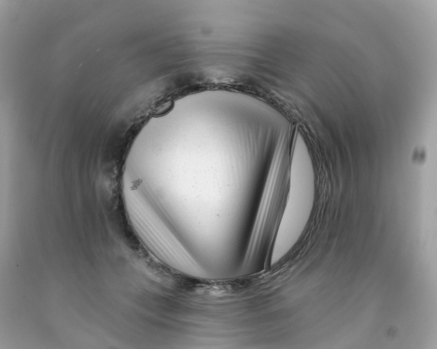 X0000091090559200709041304