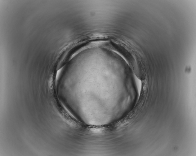 X0000091090560200709041304