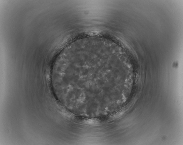 X0000091090561200709041304