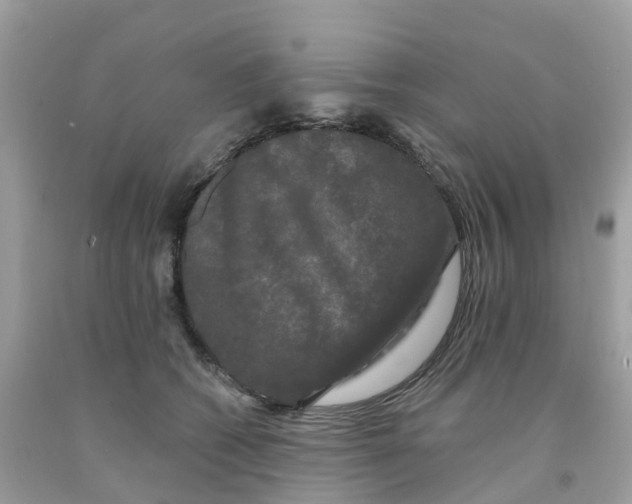 X0000091090562200709041304