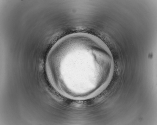 X0000091090563200709041304