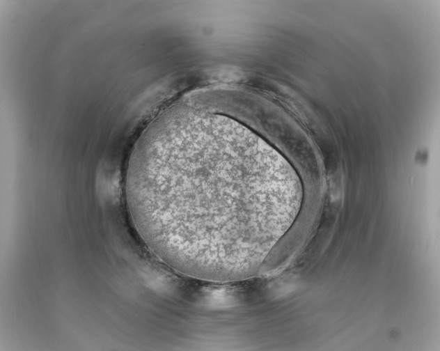 X0000091090564200709041304