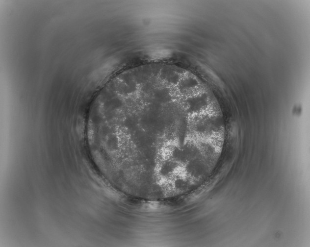 X0000091090565200709041304