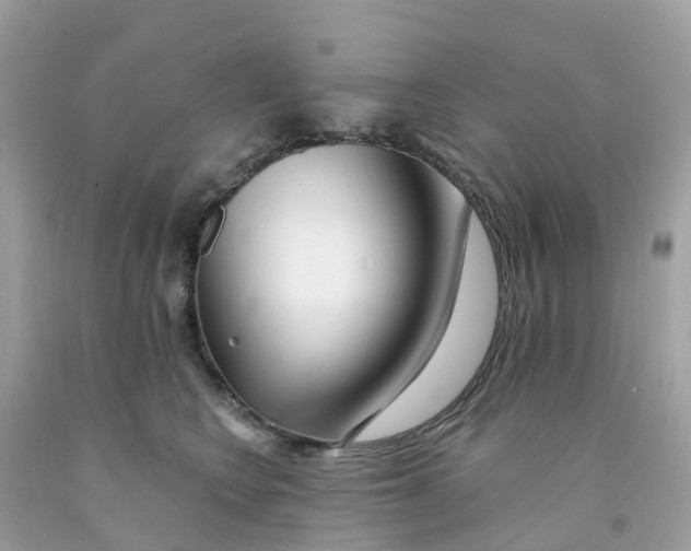 X0000091090566200709041304