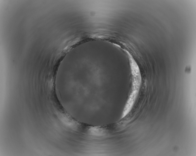 X0000091090568200709041305