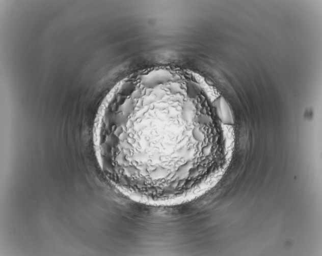 X0000091090569200709041305