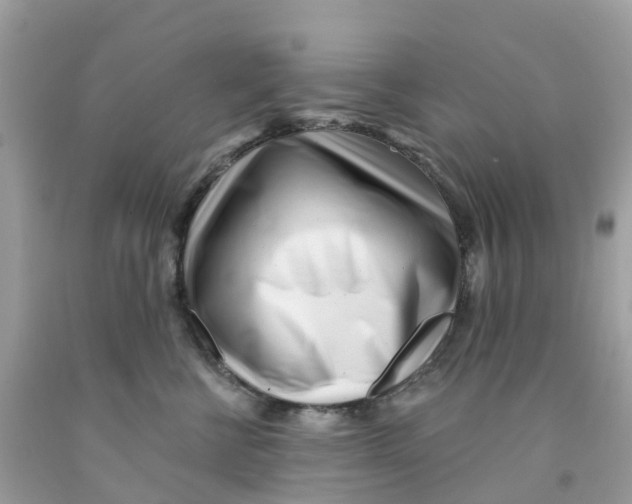 X0000091090570200709041305