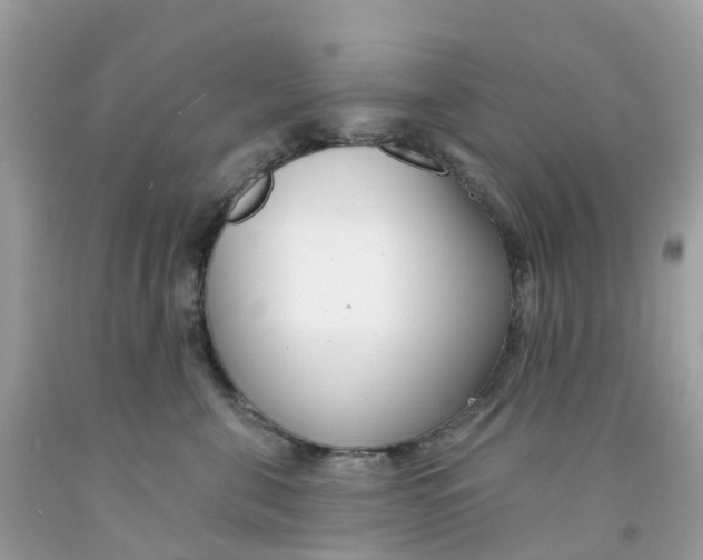 X0000091090571200709041305